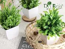 81DfFsR6YLL._AC_SL1500_.webp